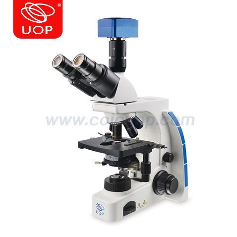 UB203i生物显微镜