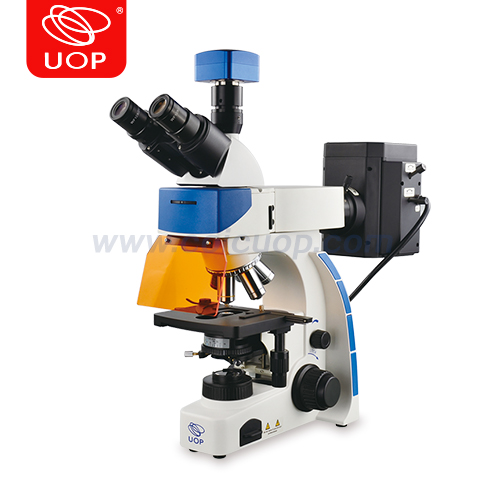 UY203i正置荧光显微镜